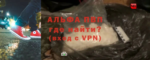 гидра Алексин